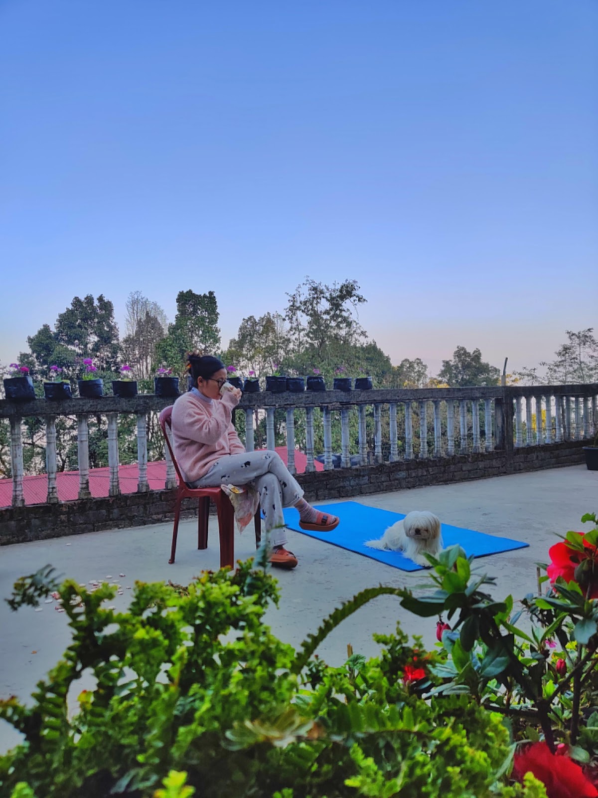 Mariam Homestay Darjeeling