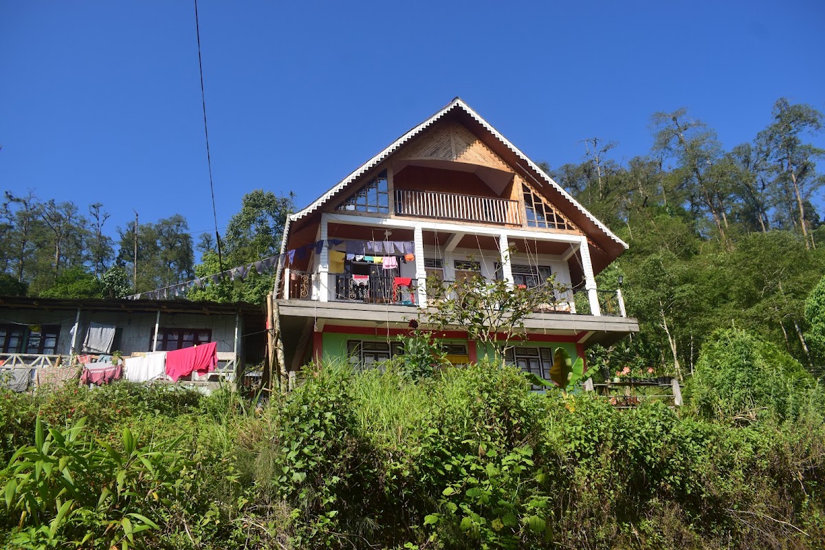Lotus born homestay
