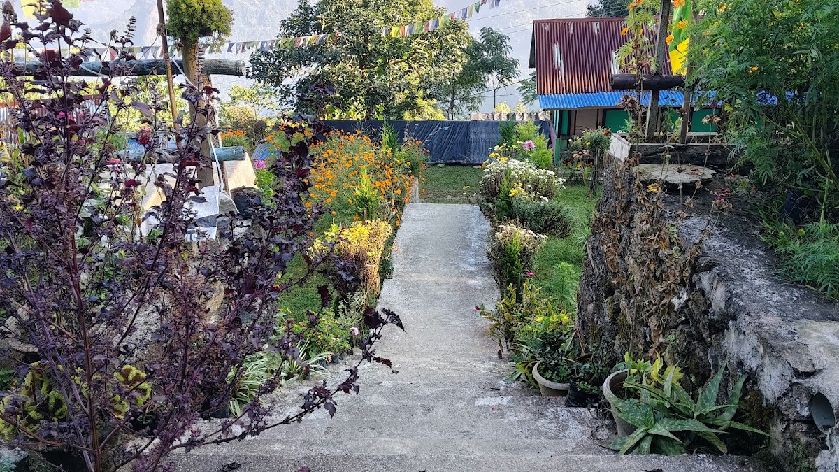 Kaffer Gaon Homestay