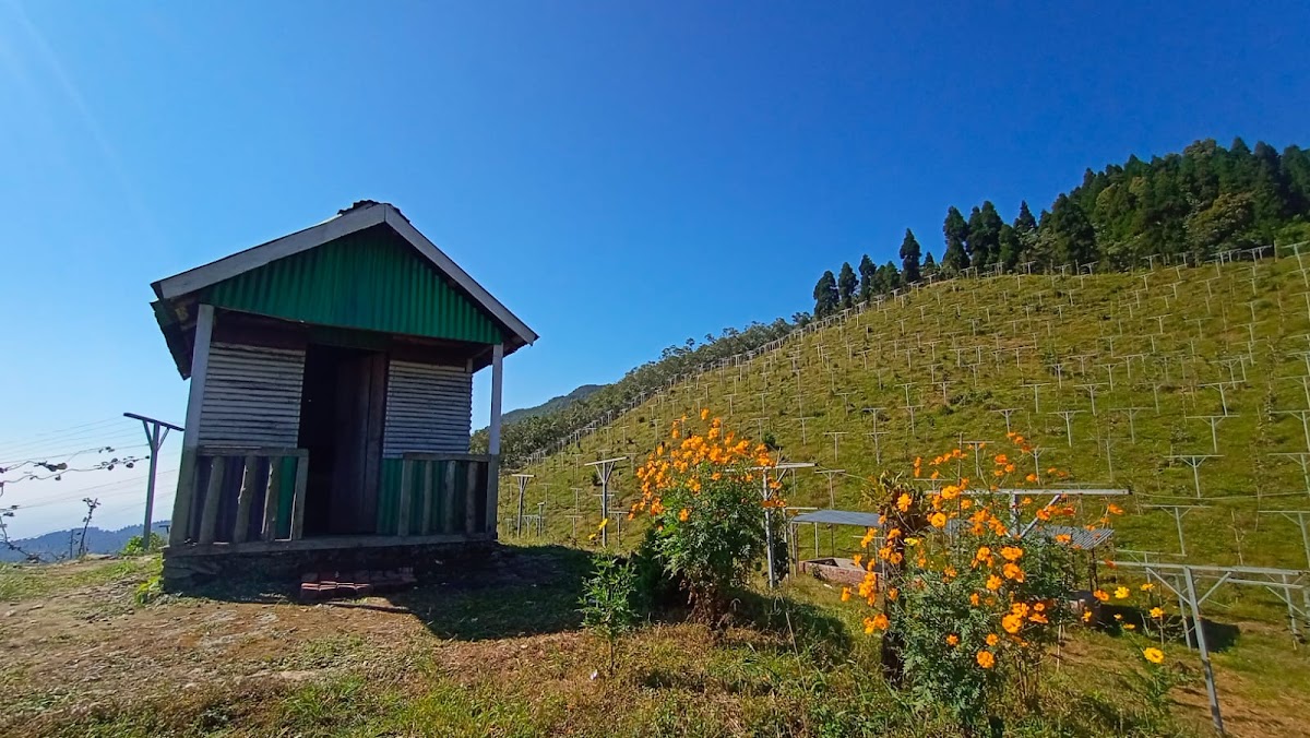 Dojin Homestay