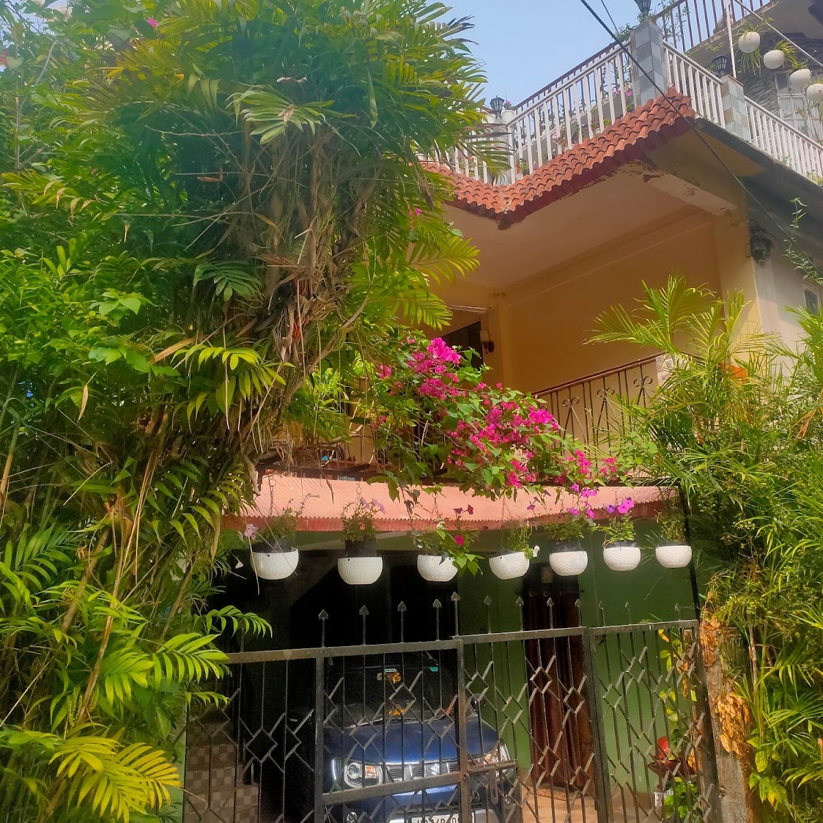 The Scarlett Homestay