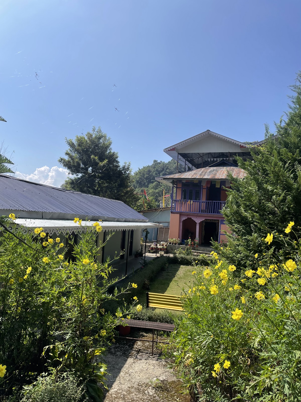 Pakha Dhim Heritage Homestay