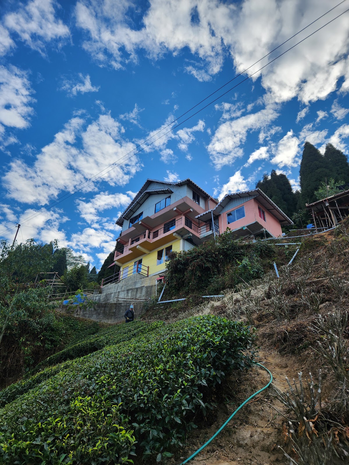 Country Escape Sittong