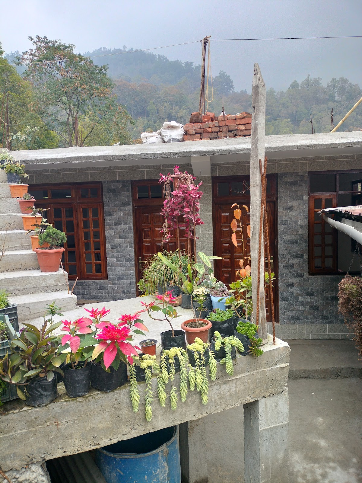 Gielly Green Homestay