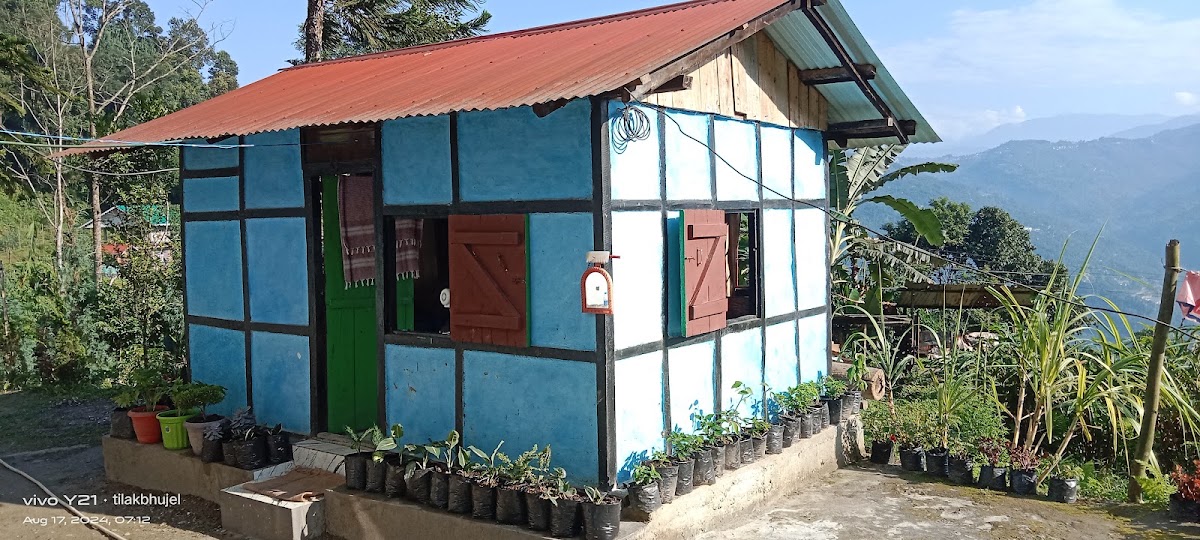 Rong Nagar Homestay