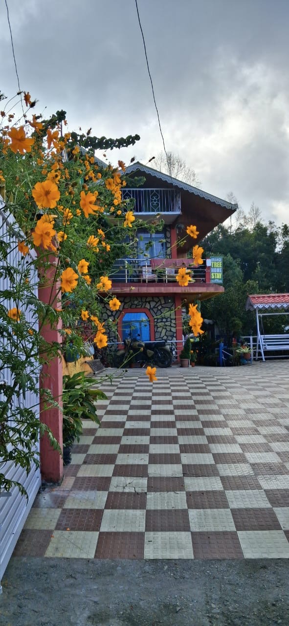 Orange Tree Homestay