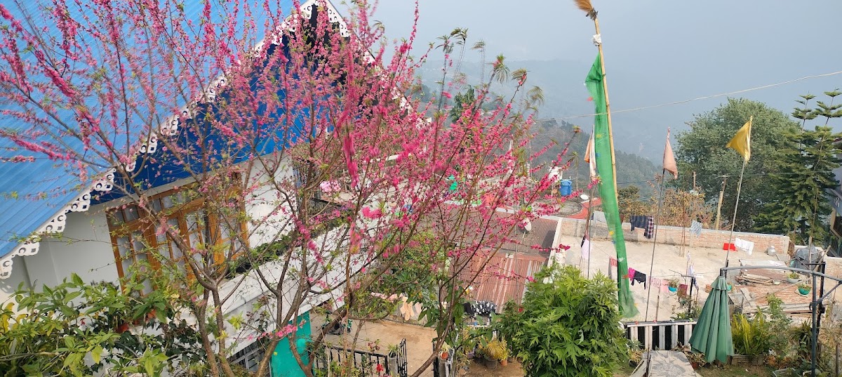 Astoria Rest Nest Homestay